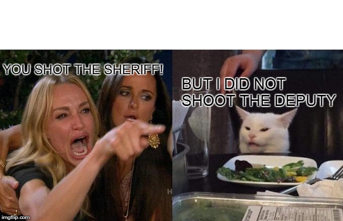 Woman Yelling At Cat Meme | YOU SHOT THE SHERIFF! BUT I DID NOT SHOOT THE DEPUTY | image tagged in memes,woman yelling at cat | made w/ Imgflip meme maker