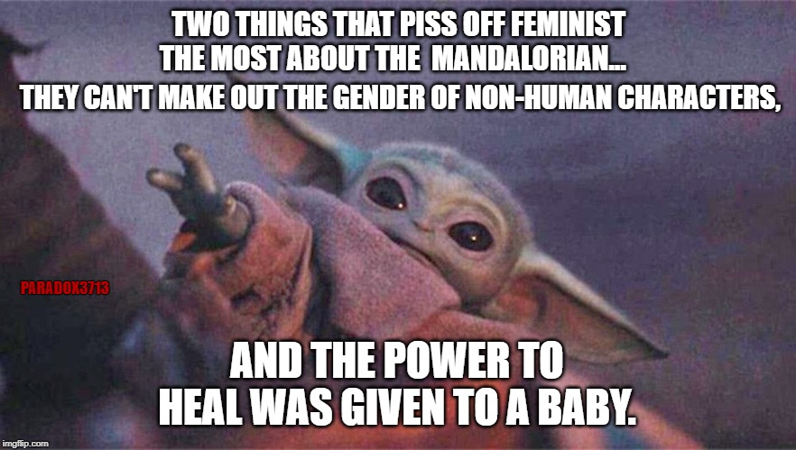 When fake Feminism pushes hard to get the Mandalorian cancelled over nothing. | TWO THINGS THAT PISS OFF FEMINIST THE MOST ABOUT THE  MANDALORIAN... THEY CAN'T MAKE OUT THE GENDER OF NON-HUMAN CHARACTERS, PARADOX3713; AND THE POWER TO HEAL WAS GIVEN TO A BABY. | image tagged in memes,star wars,baby yoda,mandalorian,feminism,progressives | made w/ Imgflip meme maker