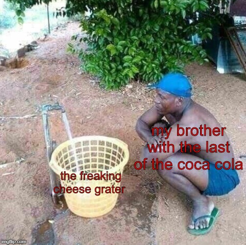 stupid brother | my brother with the last of the coca cola; the freaking cheese grater | image tagged in brothers,basket,disappointment | made w/ Imgflip meme maker
