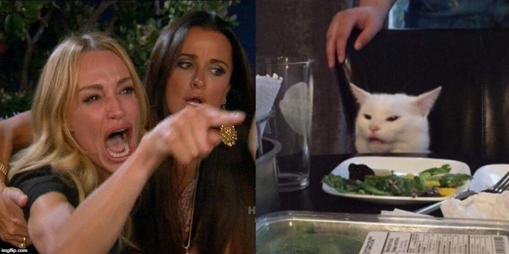 Woman yelling at cat | image tagged in woman yelling at cat | made w/ Imgflip meme maker