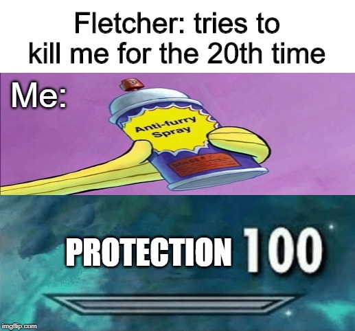 Skyrim skill meme | Fletcher: tries to kill me for the 20th time; Me:; PROTECTION | image tagged in skyrim skill meme | made w/ Imgflip meme maker