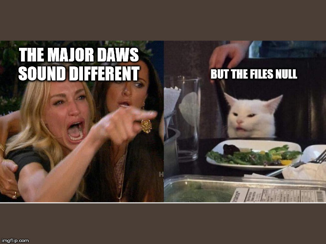 salad cat | BUT THE FILES NULL; THE MAJOR DAWS SOUND DIFFERENT | image tagged in salad cat | made w/ Imgflip meme maker