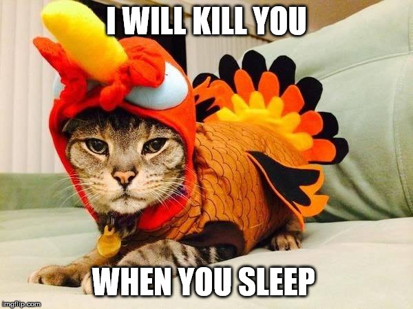 I WILL KILL YOU; WHEN YOU SLEEP | image tagged in funny,holidays,funny cats | made w/ Imgflip meme maker