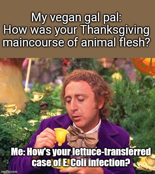 Post-Thanksgiving vegan jibe | My vegan gal pal: How was your Thanksgiving maincourse of animal flesh? Me: How's your lettuce-transferred case of E. Coli infection? | image tagged in wonka 1,vegans,vegans do everthing better even fart,romaine lettuce,e coli | made w/ Imgflip meme maker