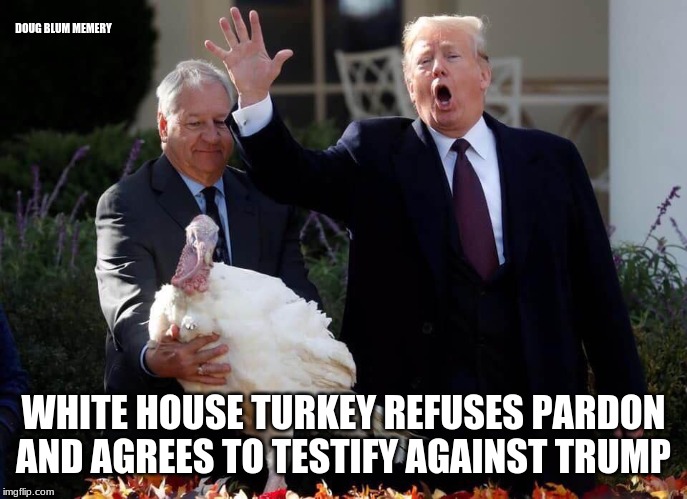 pardon | DOUG BLUM MEMERY; WHITE HOUSE TURKEY REFUSES PARDON AND AGREES TO TESTIFY AGAINST TRUMP | image tagged in donald trump | made w/ Imgflip meme maker