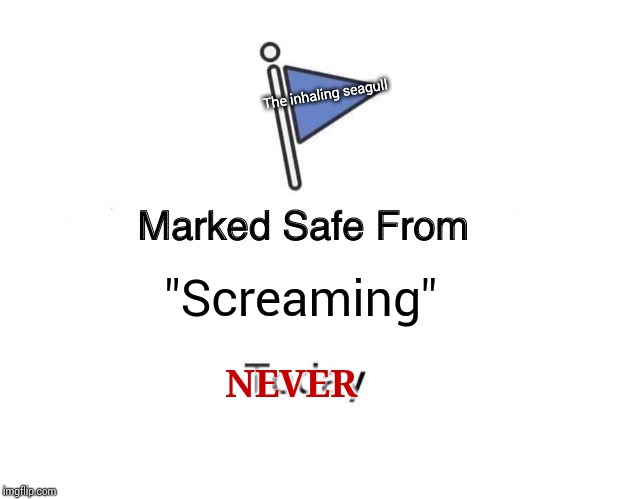Marked Safe From Meme | "Screaming" The inhaling seagull NEVER | image tagged in memes,marked safe from | made w/ Imgflip meme maker