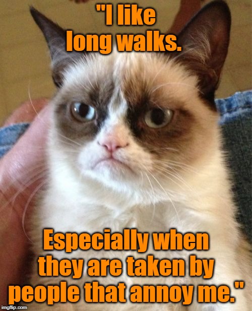 Grumpy Cat | "I like long walks. Especially when they are taken by people that annoy me." | image tagged in memes,grumpy cat | made w/ Imgflip meme maker