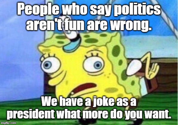 Politics is a fun | People who say politics aren't fun are wrong. We have a joke as a president what more do you want. | image tagged in politics | made w/ Imgflip meme maker