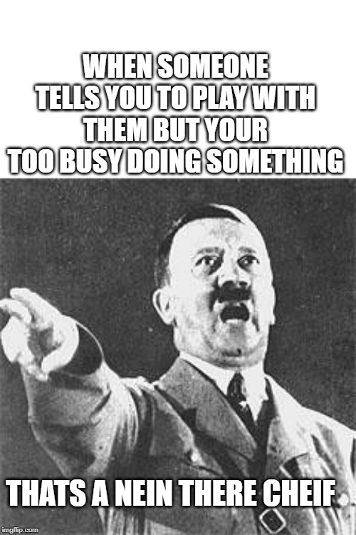 Hitler | WHEN SOMEONE TELLS YOU TO PLAY WITH THEM BUT YOUR TOO BUSY DOING SOMETHING; THATS A NEIN THERE CHEIF | image tagged in hitler | made w/ Imgflip meme maker