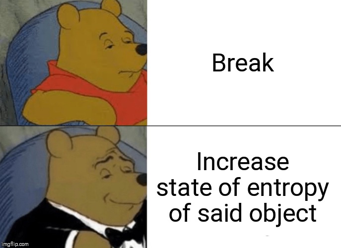 Tuxedo Winnie The Pooh | Break; Increase state of entropy of said object | image tagged in memes,tuxedo winnie the pooh | made w/ Imgflip meme maker