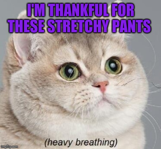 Heavy Breathing Cat Meme | I'M THANKFUL FOR THESE STRETCHY PANTS | image tagged in memes,heavy breathing cat | made w/ Imgflip meme maker