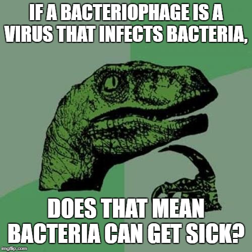 Philosoraptor Meme | IF A BACTERIOPHAGE IS A VIRUS THAT INFECTS BACTERIA, DOES THAT MEAN BACTERIA CAN GET SICK? | image tagged in memes,philosoraptor | made w/ Imgflip meme maker