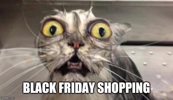 Crazy Cat | BLACK FRIDAY SHOPPING | image tagged in crazy cat | made w/ Imgflip meme maker