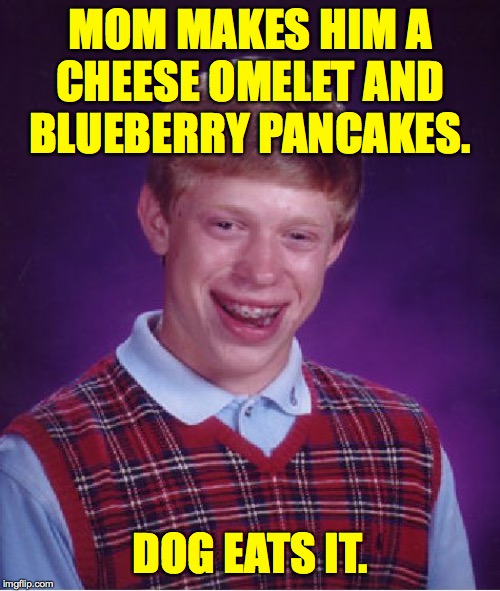 Bad Luck Brian Meme | MOM MAKES HIM A
CHEESE OMELET AND
BLUEBERRY PANCAKES. DOG EATS IT. | image tagged in memes,bad luck brian,breakfast | made w/ Imgflip meme maker