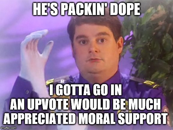 TSA Douche | HE'S PACKIN' DOPE; I GOTTA GO IN
AN UPVOTE WOULD BE MUCH APPRECIATED MORAL SUPPORT | image tagged in memes,tsa douche | made w/ Imgflip meme maker