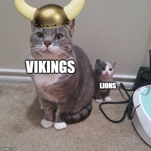 don't talk to me or my son ever again | VIKINGS; LIONS | image tagged in don't talk to me or my son ever again,minnesotavikings | made w/ Imgflip meme maker