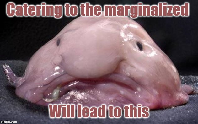 The end to humanity as we know it | Catering to the marginalized; Will lead to this | image tagged in blobfish,memes,funny | made w/ Imgflip meme maker