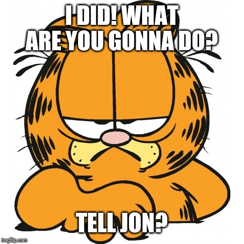 Garfield | I DID! WHAT ARE YOU GONNA DO? TELL JON? | image tagged in garfield | made w/ Imgflip meme maker