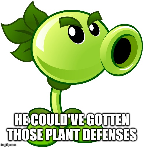 Repeater | HE COULD'VE GOTTEN THOSE PLANT DEFENSES | image tagged in repeater | made w/ Imgflip meme maker