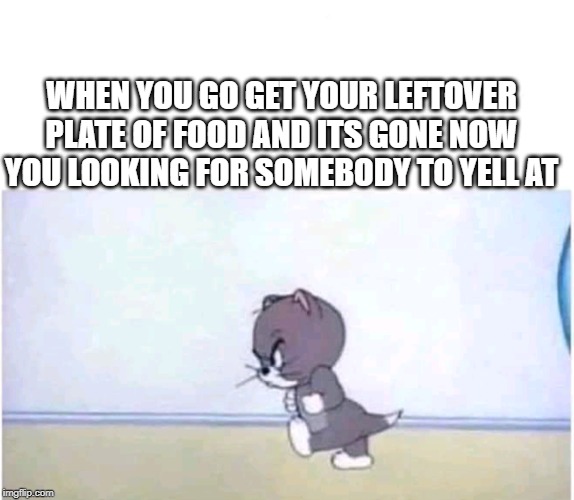 angrykitty | WHEN YOU GO GET YOUR LEFTOVER PLATE OF FOOD AND ITS GONE NOW YOU LOOKING FOR SOMEBODY TO YELL AT | image tagged in angrykitty | made w/ Imgflip meme maker