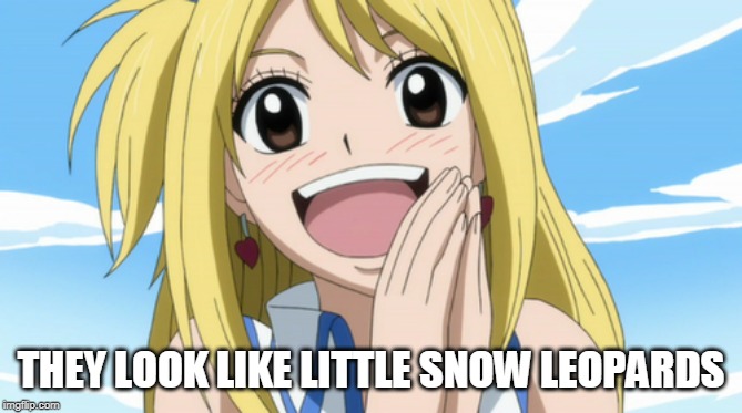 happy lucy | THEY LOOK LIKE LITTLE SNOW LEOPARDS | image tagged in happy lucy | made w/ Imgflip meme maker