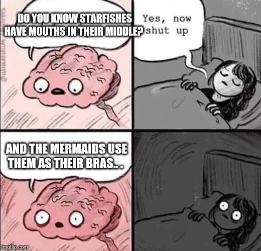 waking up brain | DO YOU KNOW STARFISHES HAVE MOUTHS IN THEIR MIDDLE? AND THE MERMAIDS USE THEM AS THEIR BRAS.. . | image tagged in waking up brain,woman yelling at cat,cats,dank memes,memes,funny memes | made w/ Imgflip meme maker