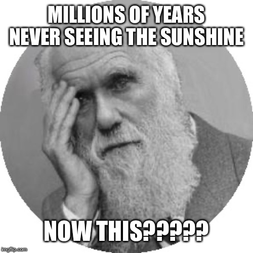 Darwin Facepalm | MILLIONS OF YEARS NEVER SEEING THE SUNSHINE NOW THIS????? | image tagged in darwin facepalm | made w/ Imgflip meme maker
