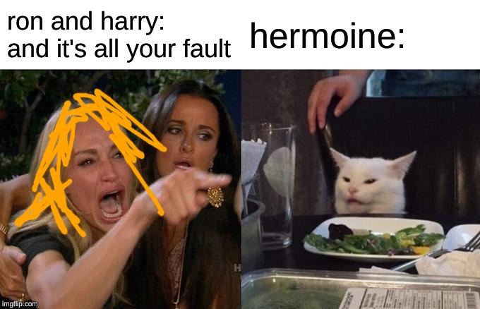 Woman Yelling At Cat Meme | ron and harry: and it's all your fault; hermoine: | image tagged in memes,woman yelling at cat | made w/ Imgflip meme maker