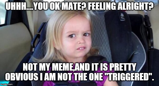 wtf girl | UHHH….YOU OK MATE? FEELING ALRIGHT? NOT MY MEME,AND IT IS PRETTY OBVIOUS I AM NOT THE ONE "TRIGGERED". | image tagged in wtf girl | made w/ Imgflip meme maker