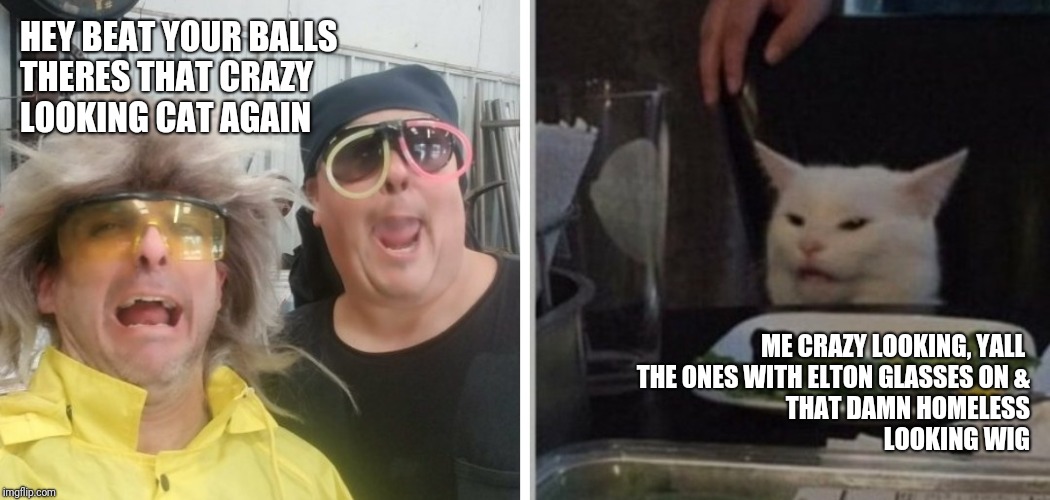 The redneck show! | HEY BEAT YOUR BALLS
THERES THAT CRAZY 
LOOKING CAT AGAIN; ME CRAZY LOOKING, YALL 
THE ONES WITH ELTON GLASSES ON &
THAT DAMN HOMELESS
LOOKING WIG | image tagged in the redneck show | made w/ Imgflip meme maker
