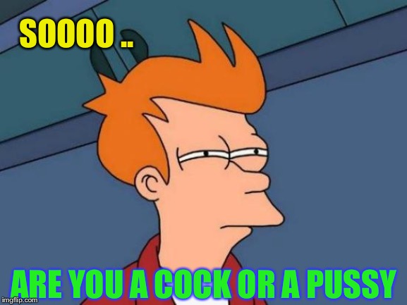 Futurama Fry Meme | SOOOO .. ARE YOU A COCK OR A PUSSY | image tagged in memes,futurama fry | made w/ Imgflip meme maker