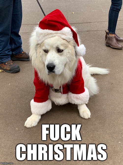 Fuck Christmas | FUCK CHRISTMAS | image tagged in fuck christmas,dog,santa,lol,christmas,cloud | made w/ Imgflip meme maker