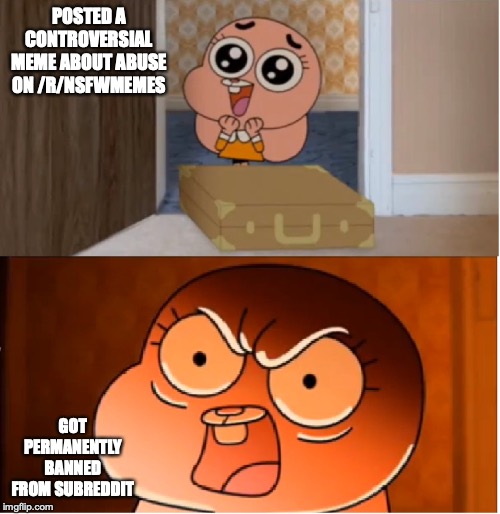Banned from /r/nsfwmemes | POSTED A CONTROVERSIAL MEME ABOUT ABUSE ON /R/NSFWMEMES; GOT PERMANENTLY BANNED FROM SUBREDDIT | image tagged in gumball - anais false hope meme,reddit,banned,memes | made w/ Imgflip meme maker