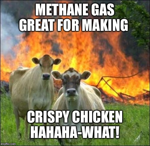 Evil Cows | METHANE GAS GREAT FOR MAKING; CRISPY CHICKEN
HAHAHA-WHAT! | image tagged in memes,evil cows | made w/ Imgflip meme maker