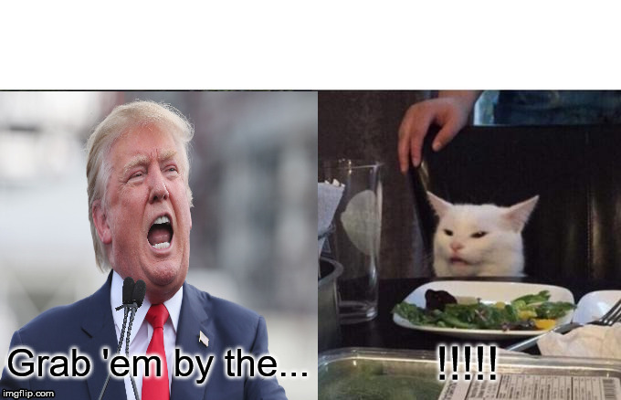 Grab 'em by the... !!!!! | image tagged in screaming cat,donald trump | made w/ Imgflip meme maker