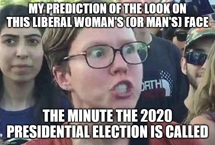 Triggered Liberal | MY PREDICTION OF THE LOOK ON THIS LIBERAL WOMAN'S (OR MAN'S) FACE; THE MINUTE THE 2020 PRESIDENTIAL ELECTION IS CALLED | image tagged in triggered liberal | made w/ Imgflip meme maker