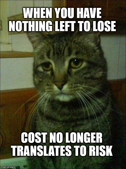 Depressed Cat | WHEN YOU HAVE NOTHING LEFT TO LOSE; COST NO LONGER TRANSLATES TO RISK | image tagged in memes,depressed cat | made w/ Imgflip meme maker