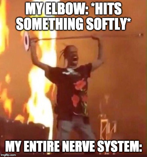 Travis Scott  | MY ELBOW: *HITS SOMETHING SOFTLY*; MY ENTIRE NERVE SYSTEM: | image tagged in travis scott,funny,memes,concert,travis scott concert | made w/ Imgflip meme maker