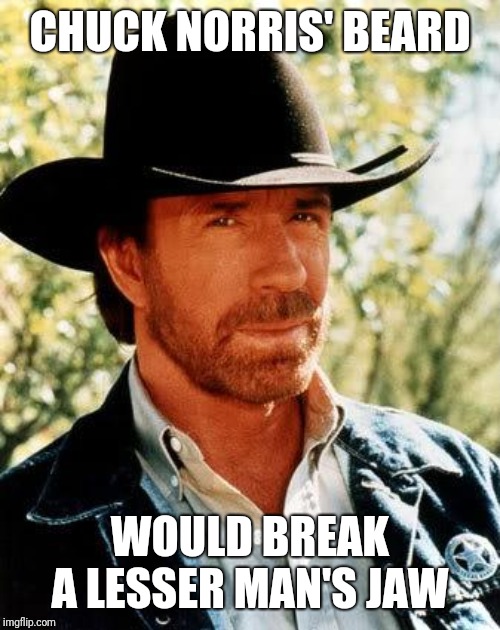 Chuck Norris | CHUCK NORRIS' BEARD; WOULD BREAK A LESSER MAN'S JAW | image tagged in memes,chuck norris | made w/ Imgflip meme maker