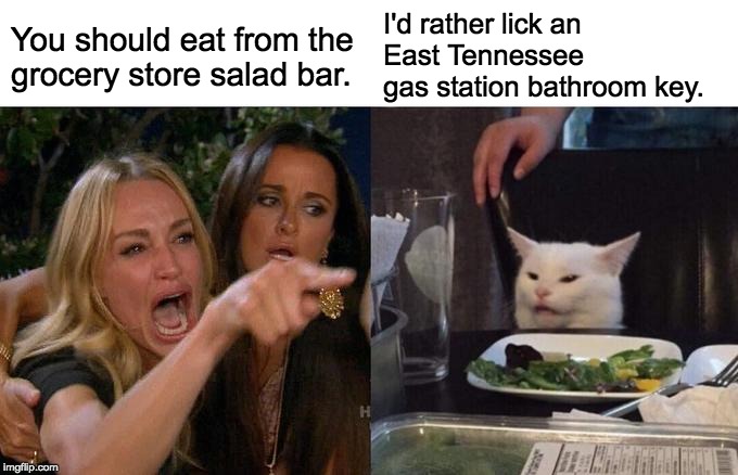 Woman Yelling At Cat Meme | You should eat from the
grocery store salad bar. I'd rather lick an 
East Tennessee 
gas station bathroom key. | image tagged in memes,woman yelling at cat | made w/ Imgflip meme maker