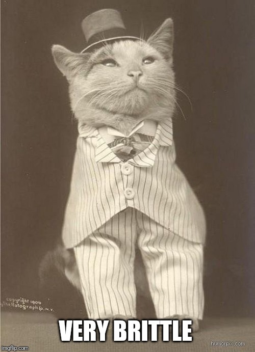 Fancy Cat | VERY BRITTLE | image tagged in fancy cat | made w/ Imgflip meme maker