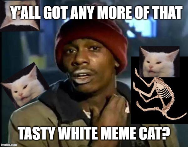 Tastes like chicken. | Y'ALL GOT ANY MORE OF THAT; TASTY WHITE MEME CAT? | image tagged in y'all got any more of that,cats,smudge the cat,junkie | made w/ Imgflip meme maker