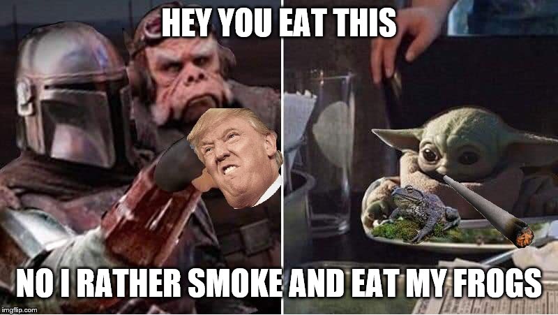 Mandalorian Yelling at Baby Yoda | HEY YOU EAT THIS; NO I RATHER SMOKE AND EAT MY FROGS | image tagged in mandalorian yelling at baby yoda,memes,funny memes,craziness_all_the_way | made w/ Imgflip meme maker