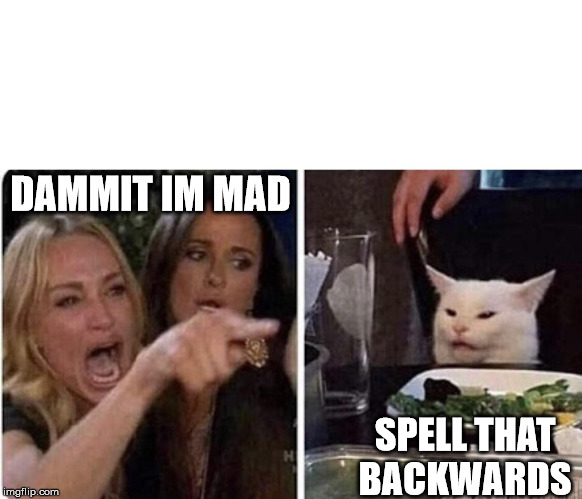 Ladies Yelling at Confused Cat | DAMMIT IM MAD; SPELL THAT BACKWARDS | image tagged in ladies yelling at confused cat | made w/ Imgflip meme maker