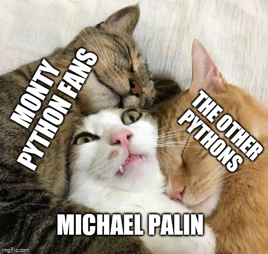 Everybody loves Michael Palin | MONTY PYTHON FANS; THE OTHER PYTHONS; MICHAEL PALIN | image tagged in monty python,cats | made w/ Imgflip meme maker