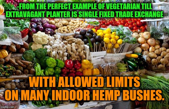 -Someone's greed but it official called danger | -FROM THE PERFECT EXAMPLE OF VEGETARIAN TILL EXTRAVAGANT PLANTER IS SINGLE FIXED TRADE EXCHANGE; WITH ALLOWED LIMITS ON MANY INDOOR HEMP BUSHES. | image tagged in vegetables,smoke weed everyday,vegetarian,food memes,steps,eating healthy | made w/ Imgflip meme maker