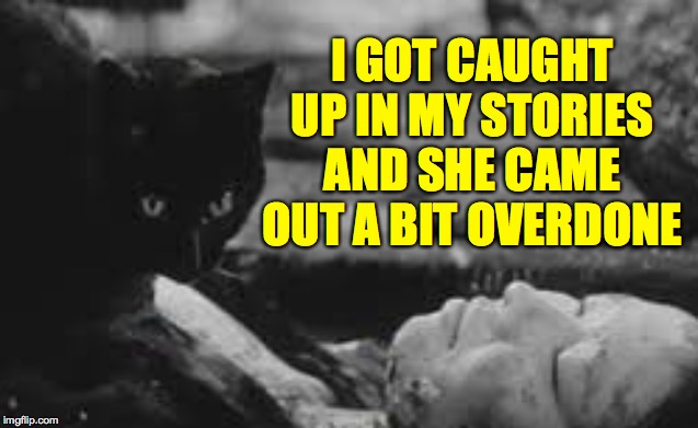 I GOT CAUGHT UP IN MY STORIES AND SHE CAME OUT A BIT OVERDONE | made w/ Imgflip meme maker