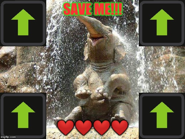 Upvote Elephant | SAVE ME!!! ❤️❤️❤️❤️ | image tagged in upvote elephant | made w/ Imgflip meme maker