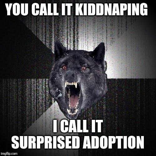Black humor weekend Nov 29- Dec 1 | YOU CALL IT KIDDNAPING; I CALL IT SURPRISED ADOPTION | image tagged in memes,insanity wolf | made w/ Imgflip meme maker