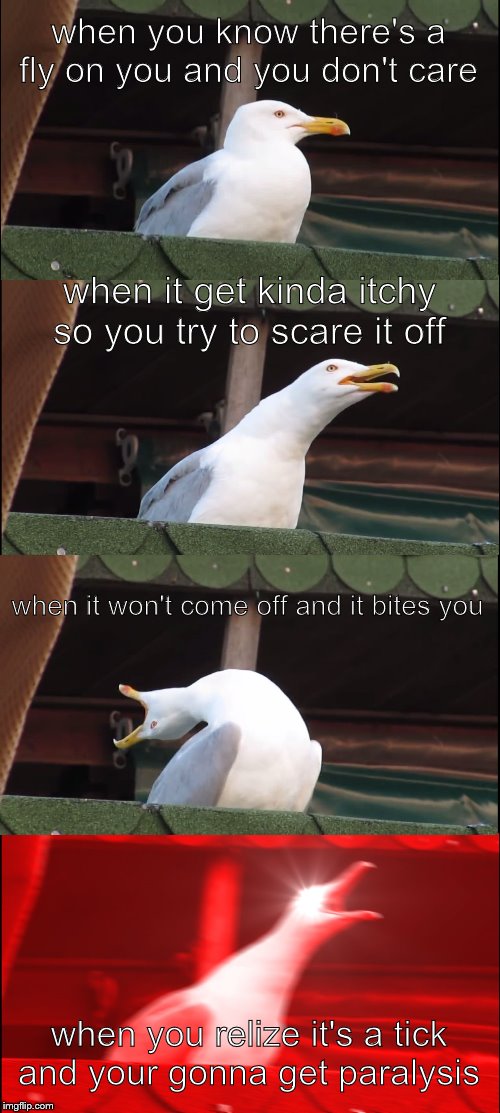 Inhaling Seagull Meme | when you know there's a fly on you and you don't care; when it get kinda itchy so you try to scare it off; when it won't come off and it bites you; when you relize it's a tick and your gonna get paralysis | image tagged in memes,inhaling seagull | made w/ Imgflip meme maker